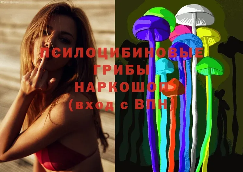 хочу   Краснозаводск  Галлюциногенные грибы MAGIC MUSHROOMS 